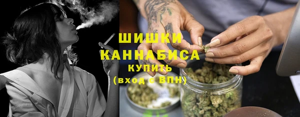 прущие грибы Богданович