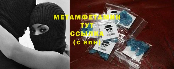 прущие грибы Богданович
