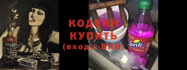 крисы Бородино