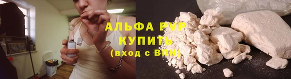 прущие грибы Богданович