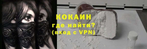 прущие грибы Богданович
