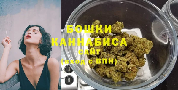 прущие грибы Богданович